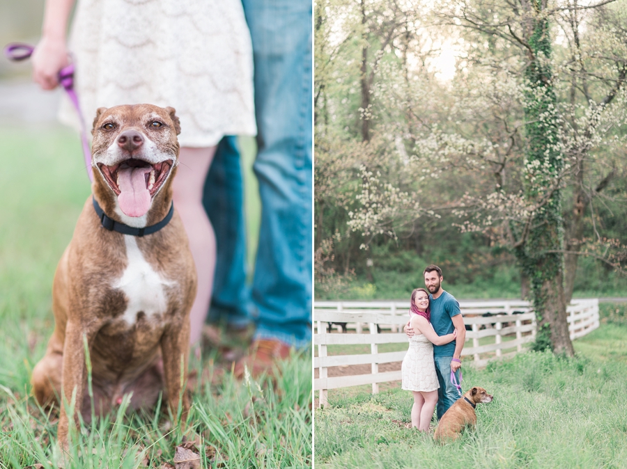 Rick & Alex | Warrenton, Virginia Farm Portrait Photographer