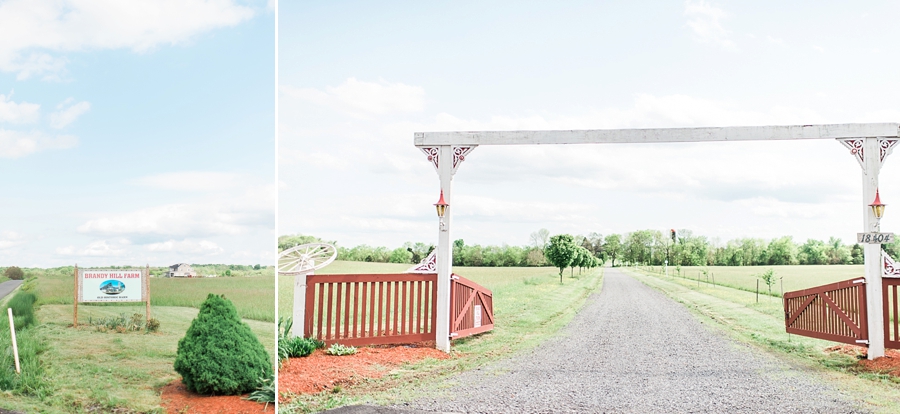 Bobby & Casey | A Spring Red, White and Blue Brandy Hill Farm, Virginia Wedding Photographer