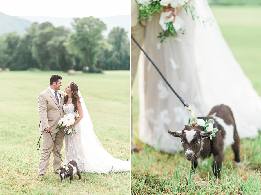 Sean & Kelsa | Flint Hill, Virginia Bohemian Mountain Wedding Photographer