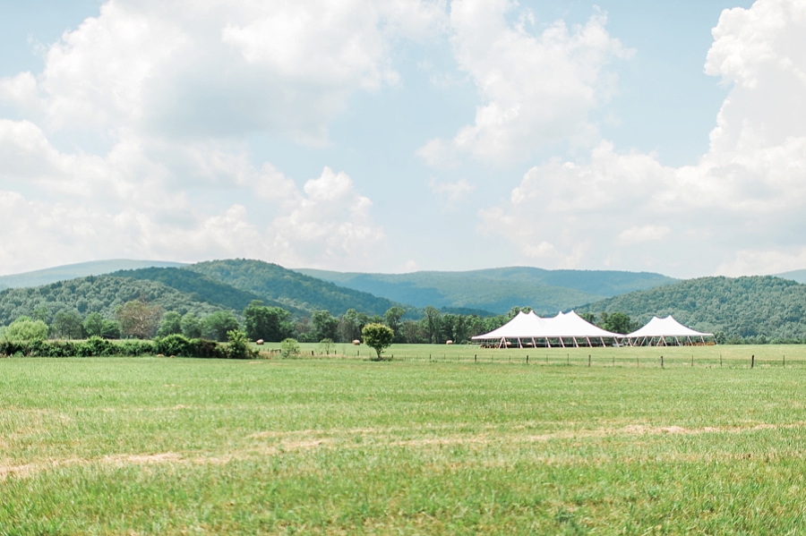 Sean & Kelsa | Flint Hill, Virginia Bohemian Mountain Wedding Photographer