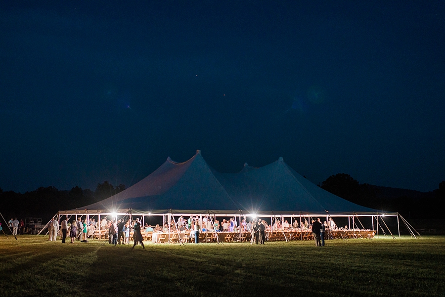 Sean & Kelsa | Flint Hill, Virginia Bohemian Mountain Wedding Photographer