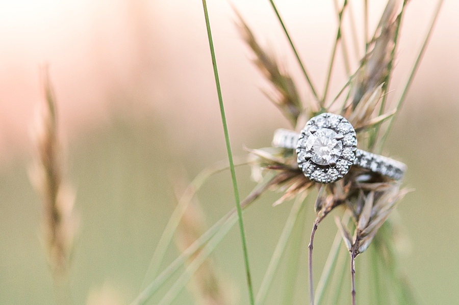 Paul & Leah | Manassas, Virginia Engagement Photographer