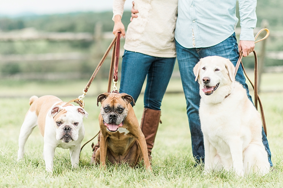 Todd & Lynee | Delaplane, Virginia Engagement Photographer