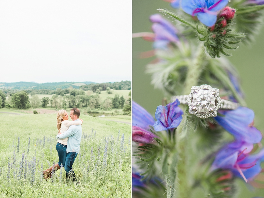 Todd & Lynee | Delaplane, Virginia Engagement Photographer