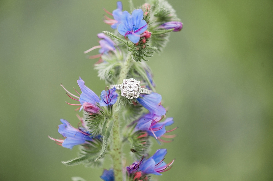 Todd & Lynee | Delaplane, Virginia Engagement Photographer