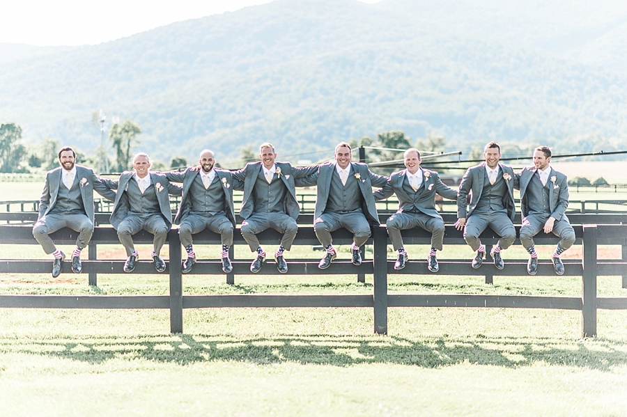 Danny & Brittany | King Family Vineyards, Crozet, Virginia Summer Wedding Photographer