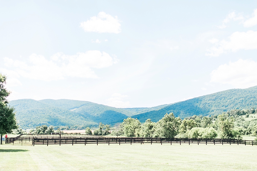 Danny & Brittany | King Family Vineyards, Crozet, Virginia Summer Wedding Photographer