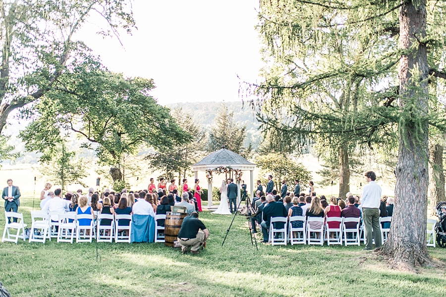 Mitch & Ashley | Whitehall Estate, Bluemont, Virginia Summer Wedding Photographer