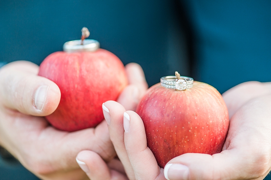 Jacob & Kirsten | Hartland Orchard, Virginia Fall Anniversary Portraits