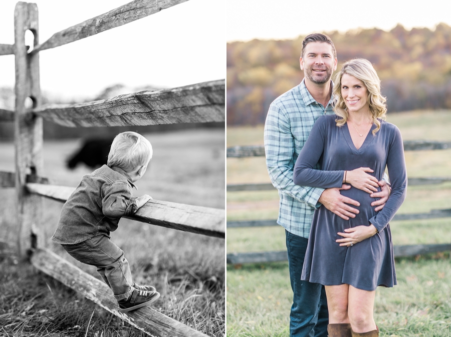 Mini Sessions Warrenton, Virginia Portrait Photographer