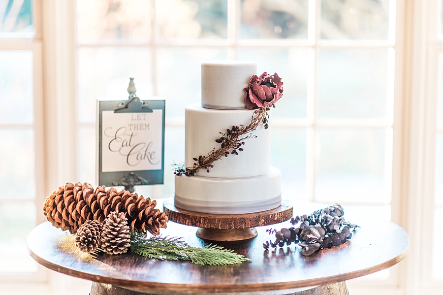Morris Vineyard, Virginia | Winter-inspired Wedding Photographer