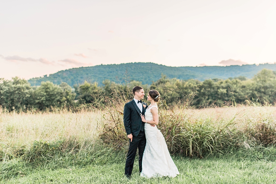 Adam and Cindy | Whitehall Manor Estate in Bluemont, Virginia Wedding Photographer