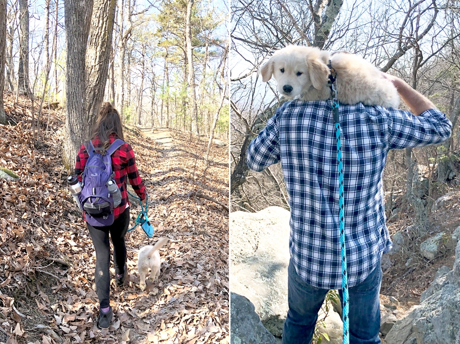 Weekend Recap | Ollie's First Hike!