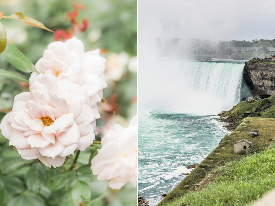 Dopes & Nopes | Niagara on the Lake, Canada Portrait + Wedding Photographer