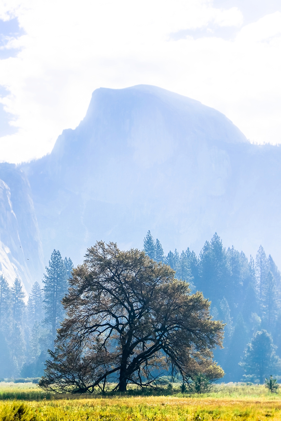 Alex Schloe | Travel Photography | Half Dome in Yosemite National Park, California