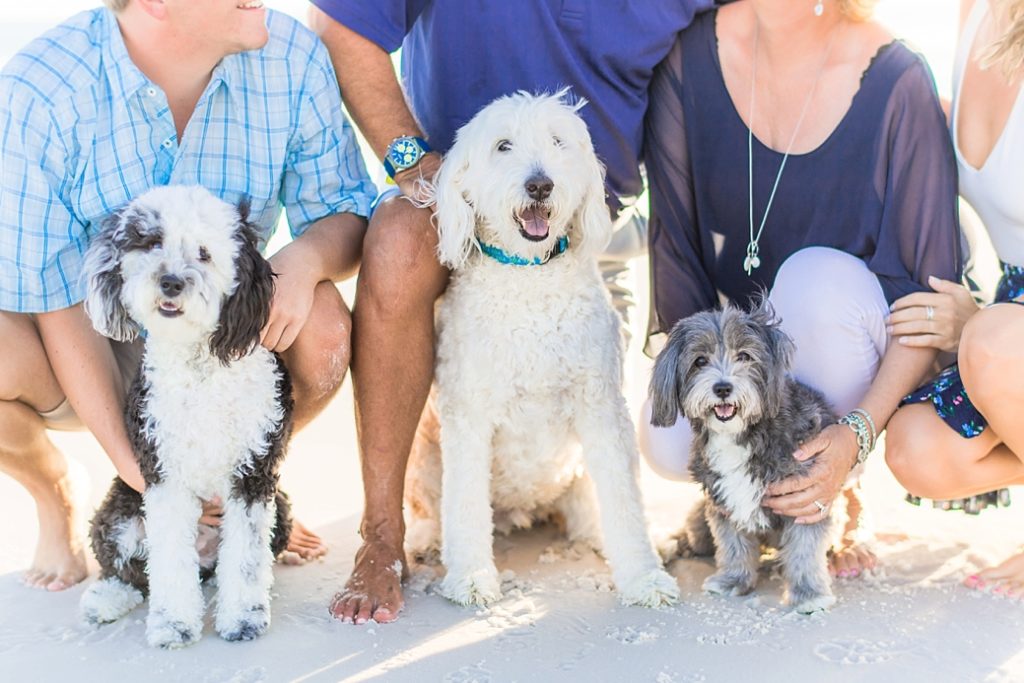 Joey + Family | Santa Rosa Beach, Florida Photographer