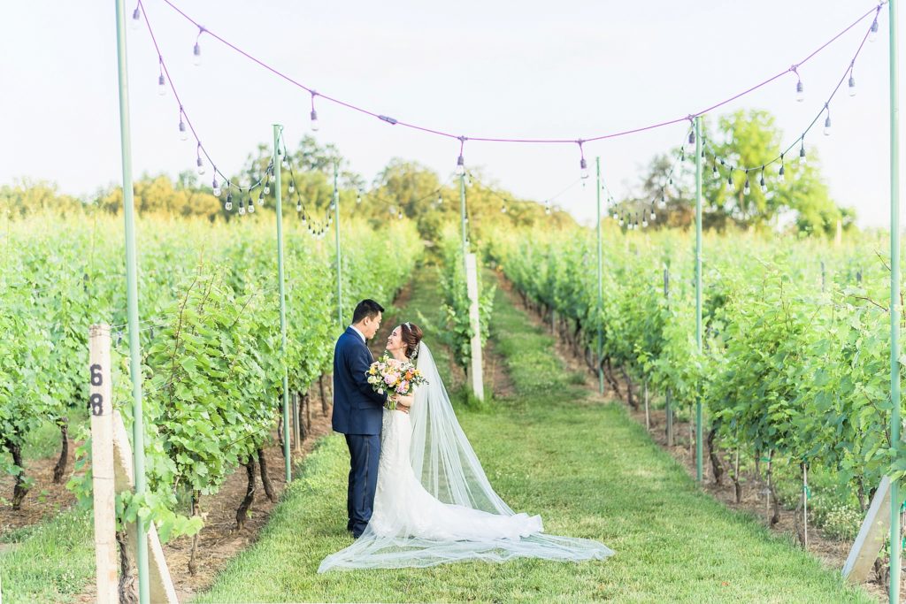 Alex & Lu | Morais Vineyard, Virginia Wedding