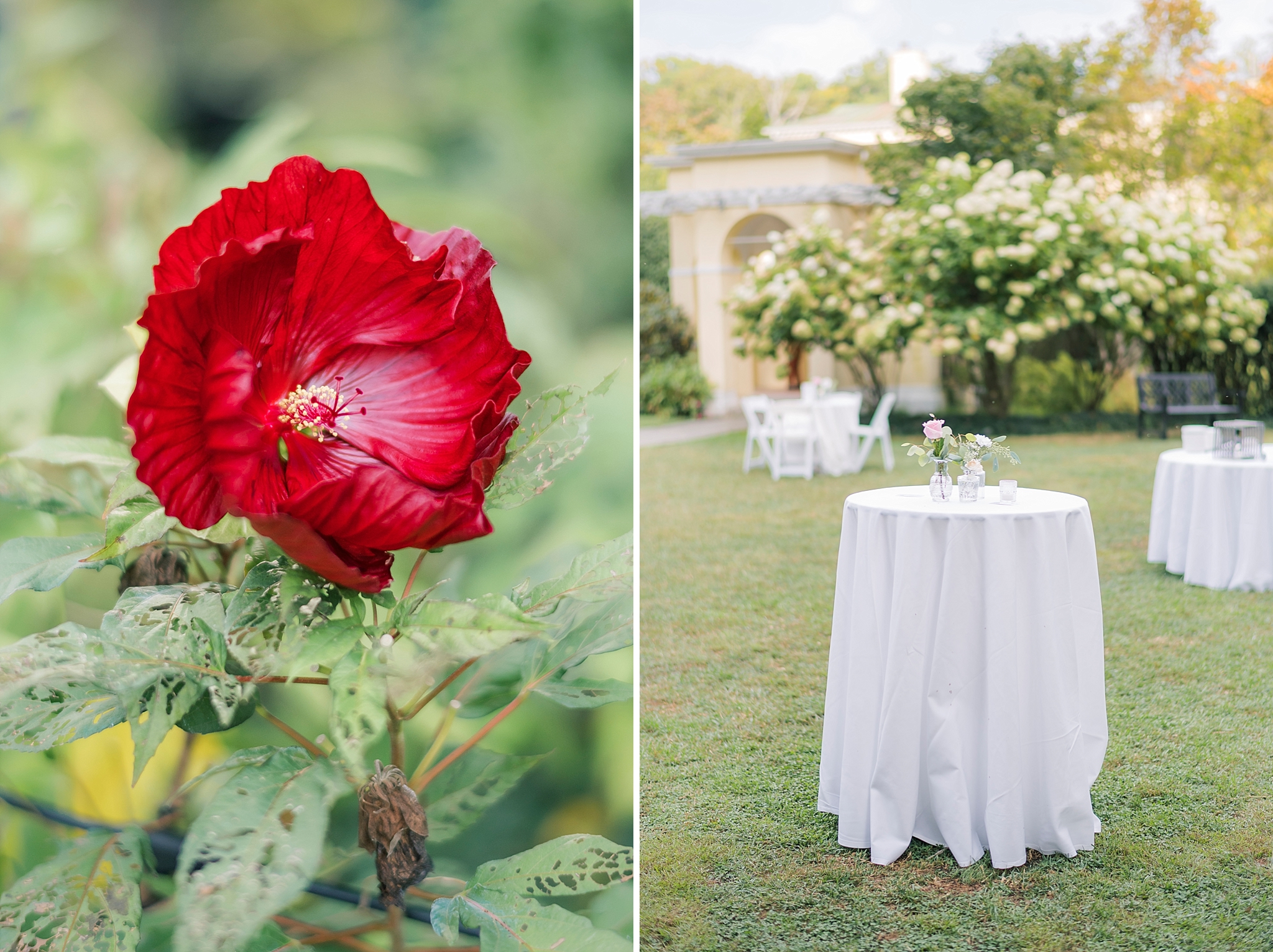 A Fairytale Airlie, Warrenton Virginia Wedding