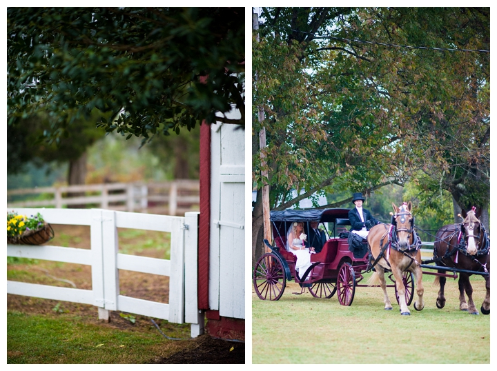 3_ceremony > DylanJordan_countryfarm_virginia_wedding_photographer-6_web