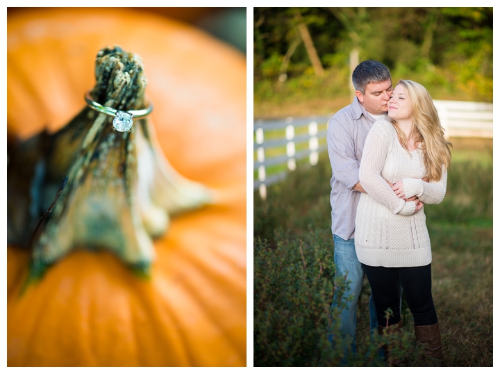 BruceAmanda_fall_farm_country_engagement_warrenton_virginia_photographer-130_web