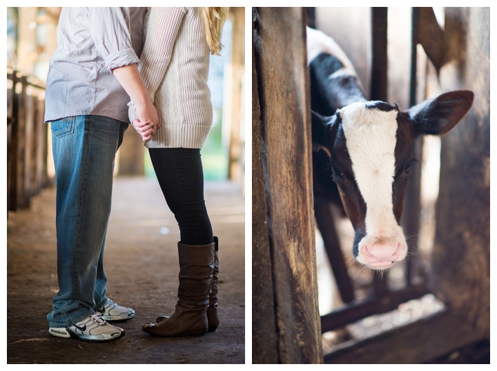 BruceAmanda_fall_farm_country_engagement_warrenton_virginia_photographer-138_web