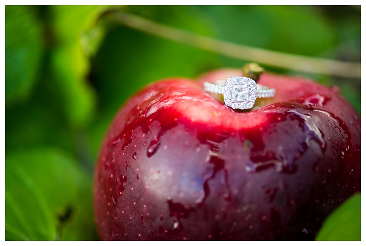 JustinLauren_hartlands_orchard_fall_engagement_photographer-35_web