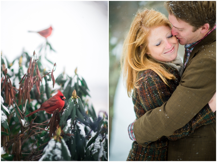 2014-01-21 Brian Nicole_warrenton_virginia_snow_couples_photographer-1_web