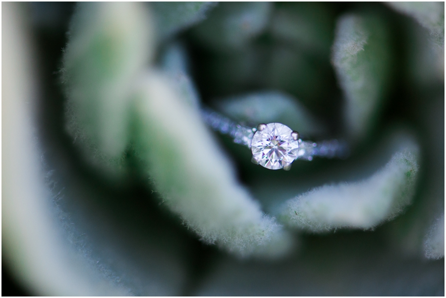 sky_meadows_barrel_oak_virginia_engagement_-31_web