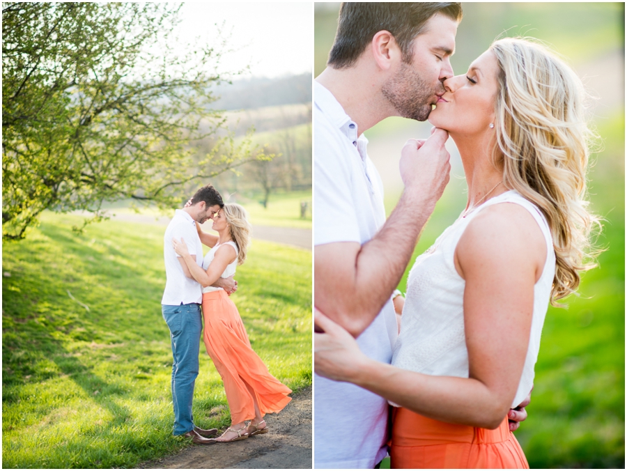 sky_meadows_park_farm_virginia_engagement_photographer_-14_web