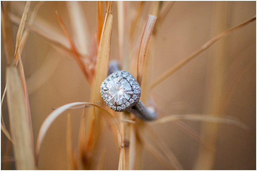 sky_meadows_park_farm_virginia_engagement_photographer_-85_web
