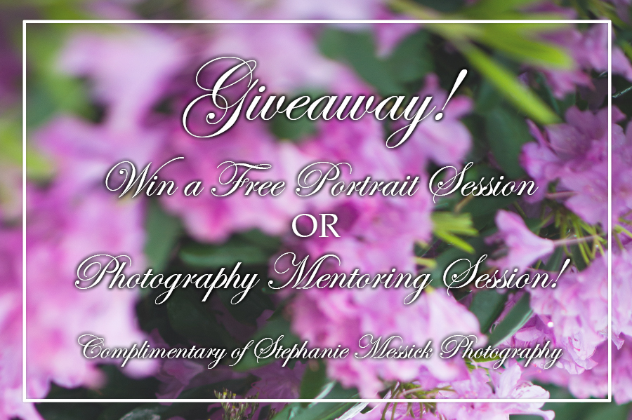 stephanie_messick_giveaway