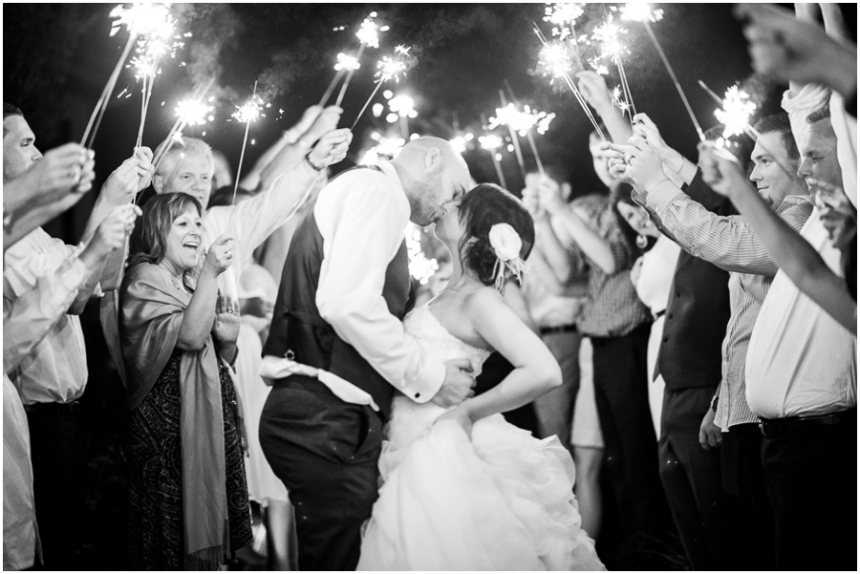 8_chris_emily_early_mountain_vineyard_madison_wedding_photographer-36_web(pp_w860_h574)