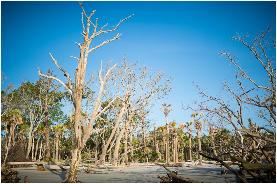 4_hunting_beach_southcarolina_roadtrip-8_web