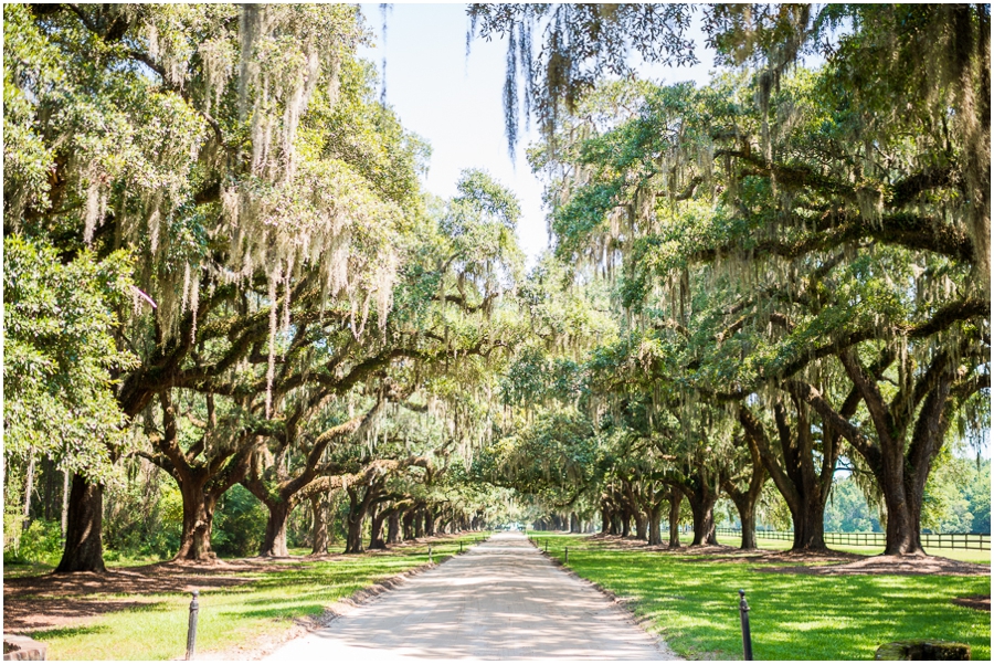 7_boone_hall_plantation_charleston_southcarolina_roadtrip-2_web