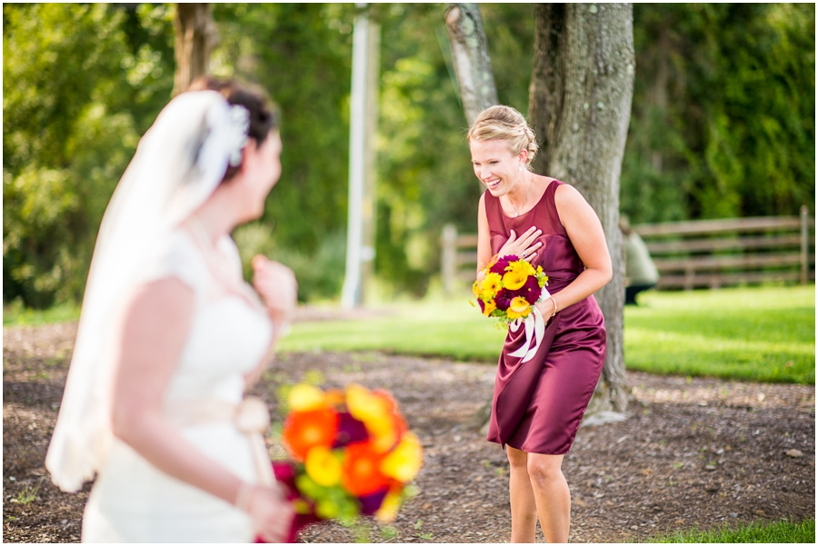 4-kevin_sara_winery_bull_run_virginia_wedding_photographer-16_web