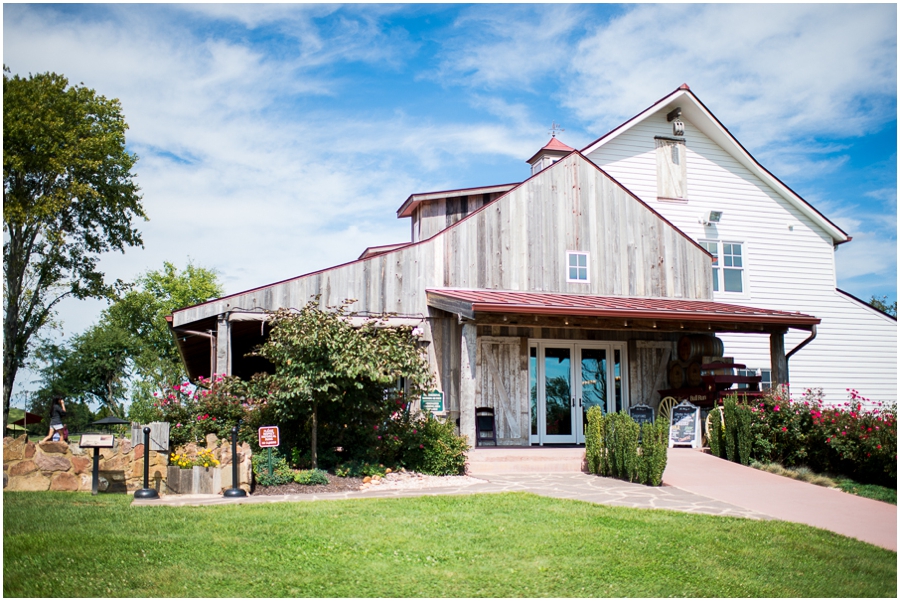 8-kevin_sara_winery_bull_run_virginia_wedding_photographer-1_web