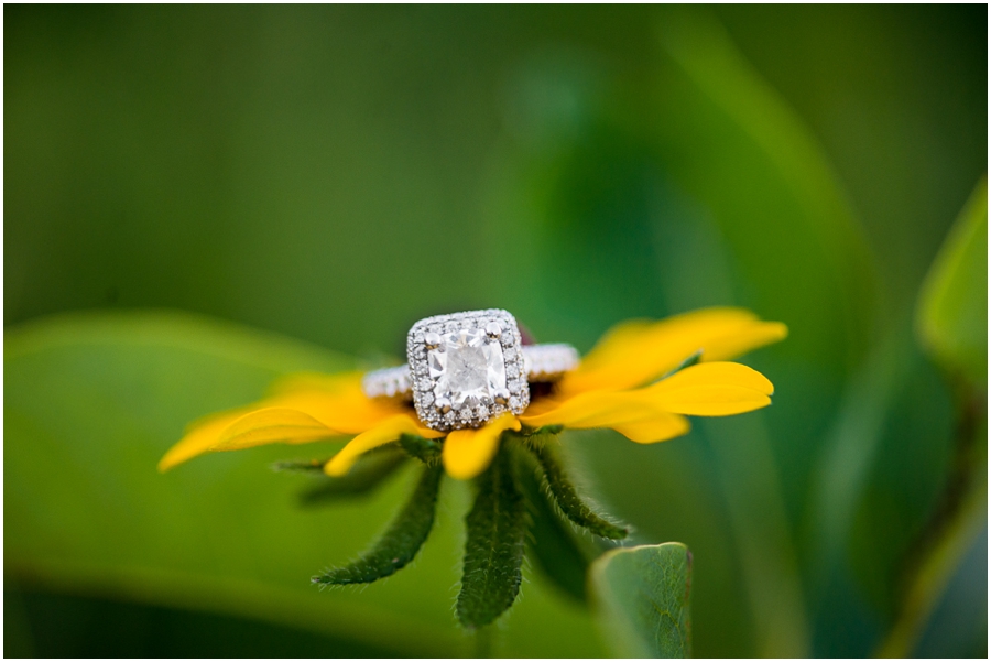 chase_kate_fauquier_county_farm_engagement_photographer-33_web