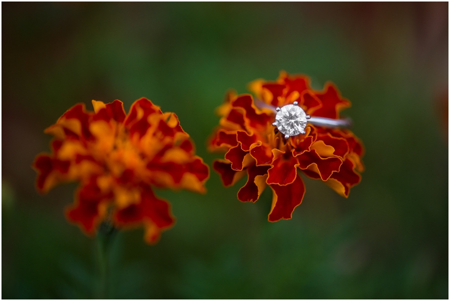 eric_kamry_warrenton_farm_engagement-56_web