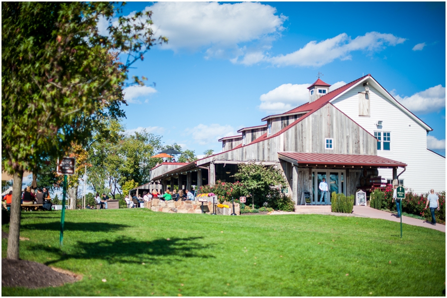 9-kenny_allison_winery_bull_run_virginia_wedding_photographer-1_web