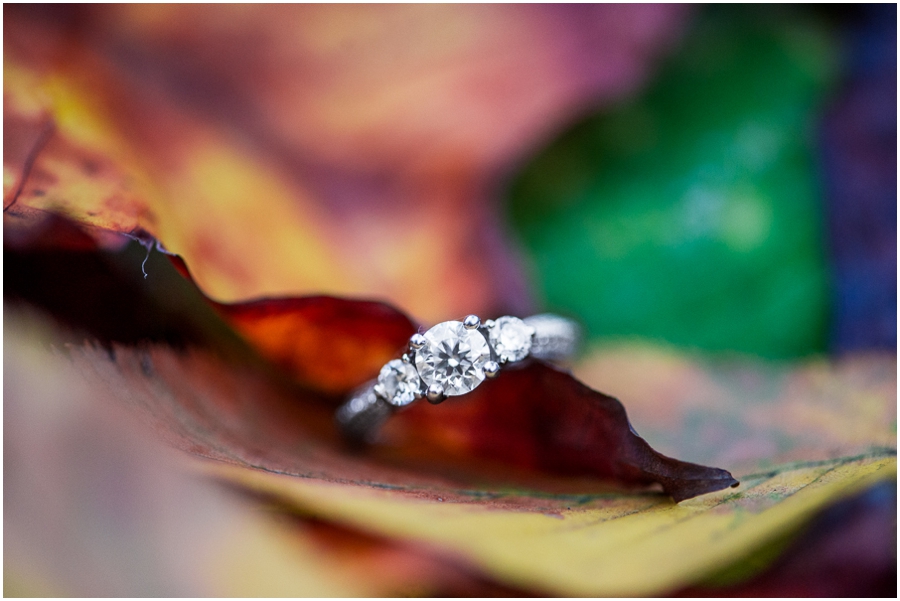 bobby_casey_graves_mountain_lodge_engagement_photographer-54_web