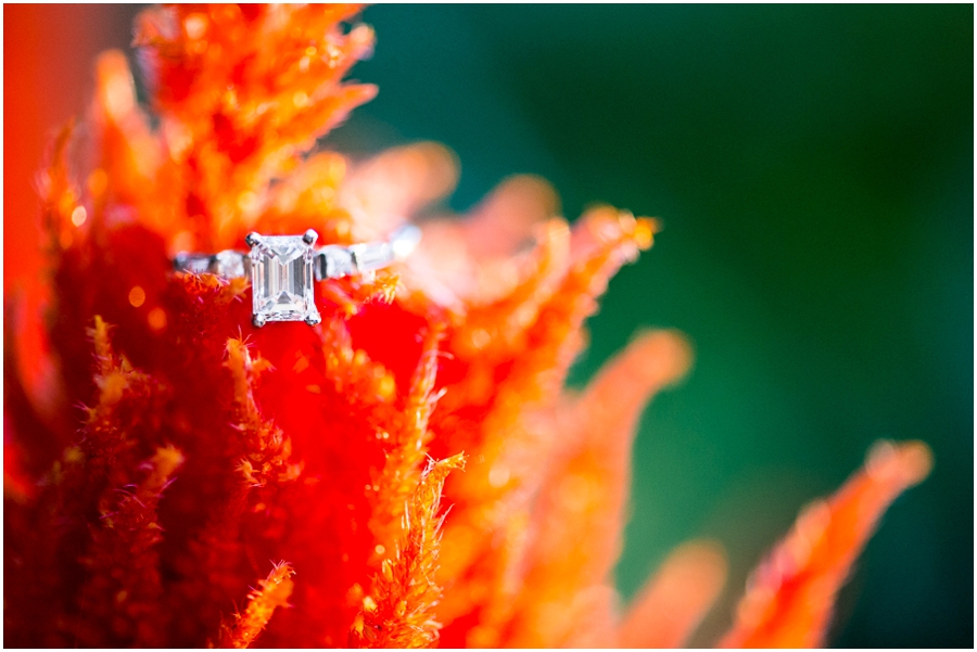 keith_carolyn_warrenton_virginia_fall_engagement_photographer-33_web