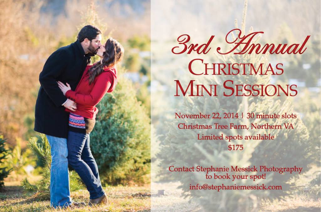 christmas-mini-session