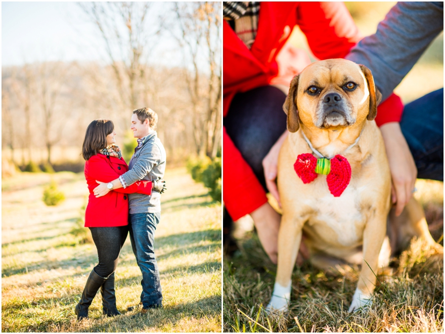 christmas_mini_sessions_carter-1_web