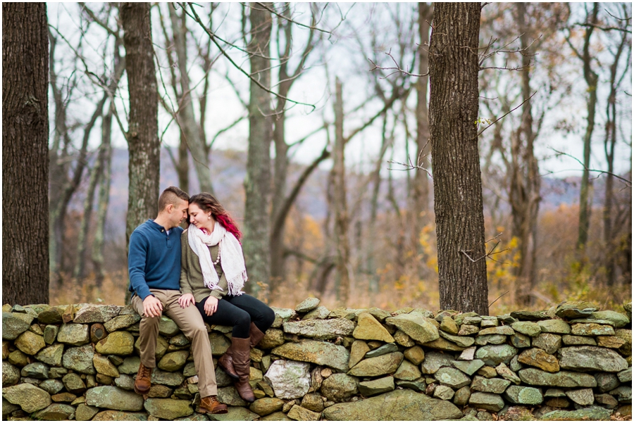 tyler_kimberly_delaplane_virginia_engagement_photographer-60.5_web