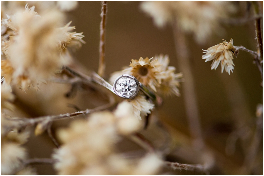 tyler_kimberly_delaplane_virginia_engagement_photographer-73_web