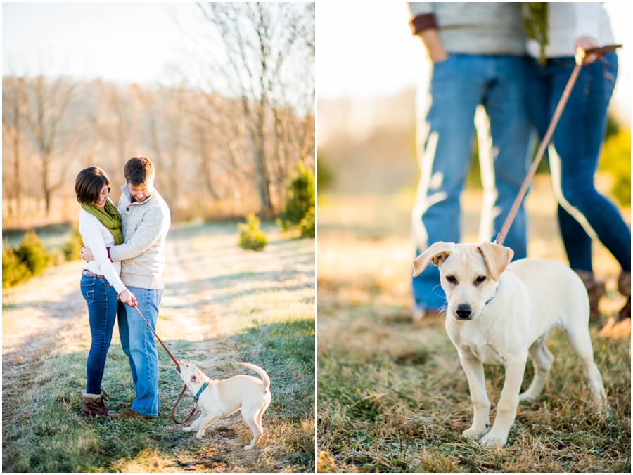 christmas_mini_sessions_hocutt-9_web