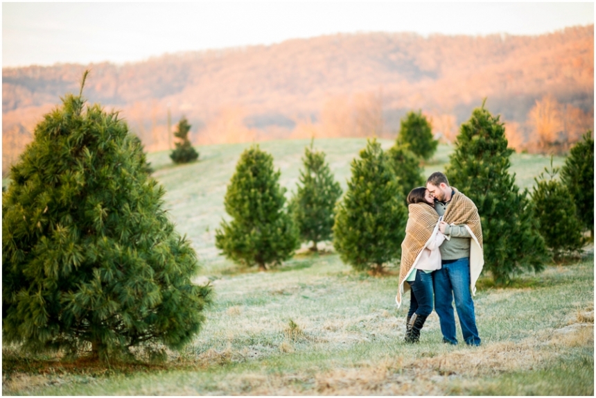 Christmas Tree Farm Photography | Location Ideas