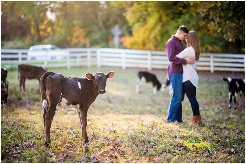 Farm Photography | Location Ideas