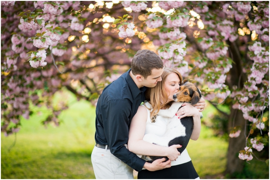 Stephanie Messick Photography | Virginia Couples + Dog Portrait Tips