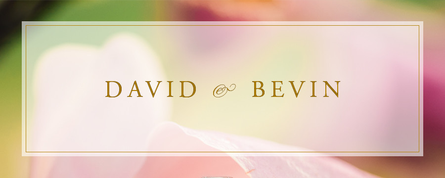 David & Bevin | Washington, DC Cherry Blossom Festival Engagement Photographer